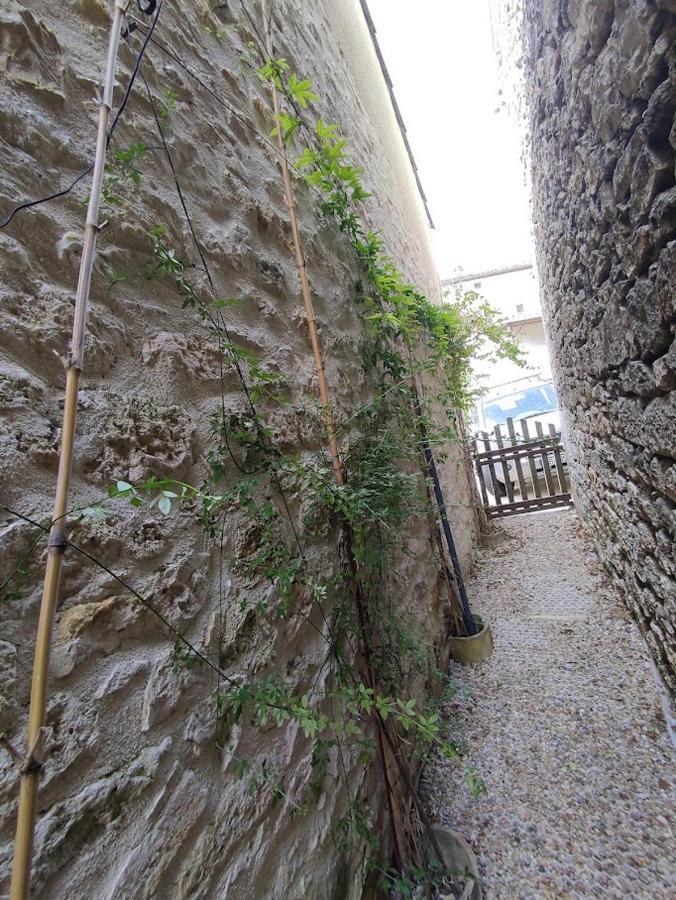 il fait bon vivre classé 3 étoile Montcuq Esterno foto